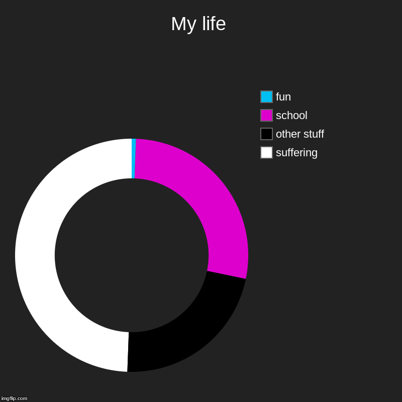 My life | suffering, other stuff, school , fun | image tagged in charts,donut charts | made w/ Imgflip chart maker