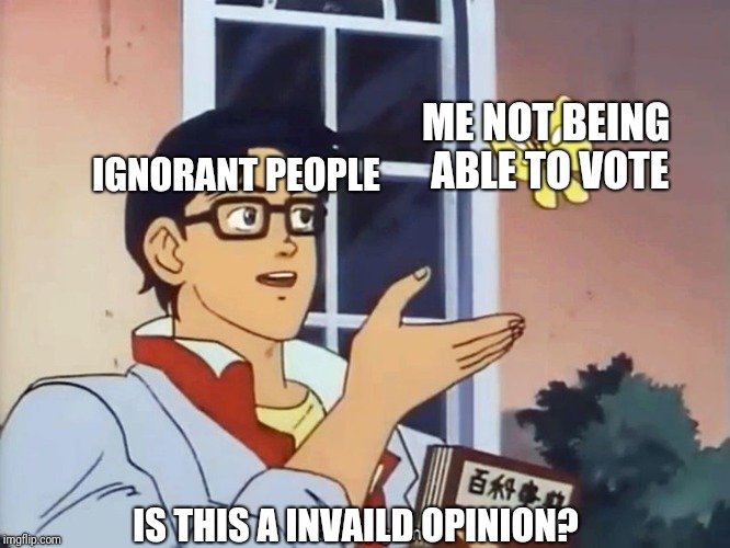 Confused anime guy | ME NOT BEING ABLE TO VOTE; IGNORANT PEOPLE; IS THIS A INVAILD OPINION? | image tagged in confused anime guy | made w/ Imgflip meme maker