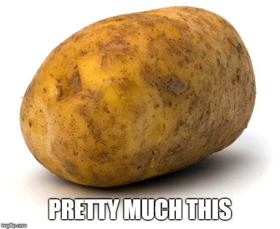 I am a potato | PRETTY MUCH THIS | image tagged in i am a potato | made w/ Imgflip meme maker