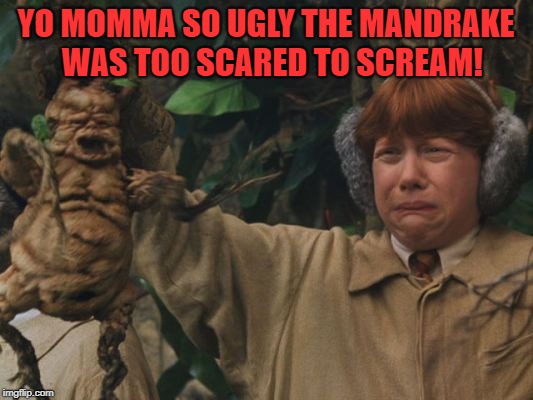 Yo Momma Mandrake | YO MOMMA SO UGLY THE MANDRAKE  WAS TOO SCARED TO SCREAM! | image tagged in yo momma,harry potter | made w/ Imgflip meme maker