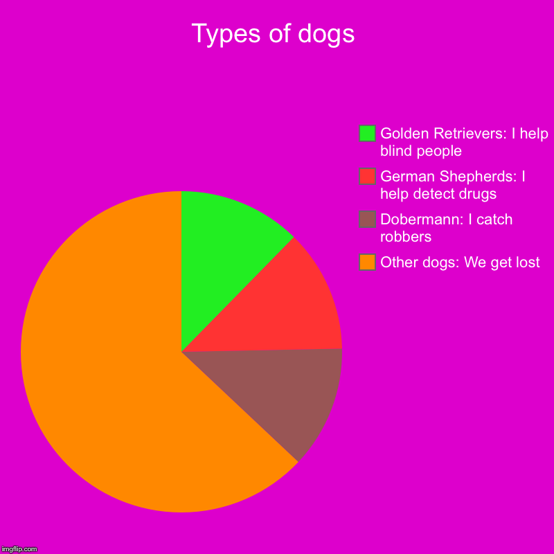 Types of dogs | Other dogs: We get lost, Dobermann: I catch robbers, German Shepherds: I help detect drugs, Golden Retrievers: I help blind  | image tagged in charts,pie charts | made w/ Imgflip chart maker