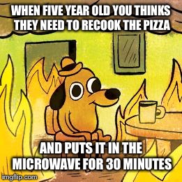 Dog in burning house | WHEN FIVE YEAR OLD YOU THINKS THEY NEED TO RECOOK THE PIZZA; AND PUTS IT IN THE MICROWAVE FOR 30 MINUTES | image tagged in dog in burning house | made w/ Imgflip meme maker