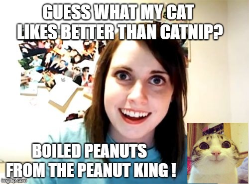 Overly Attached Girlfriend Meme | GUESS WHAT MY CAT LIKES BETTER THAN CATNIP? BOILED PEANUTS FROM THE PEANUT KING ! | image tagged in memes,overly attached girlfriend | made w/ Imgflip meme maker