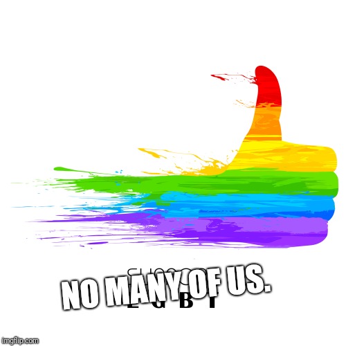 support-LGBT | NO MANY OF US. | image tagged in support-lgbt | made w/ Imgflip meme maker