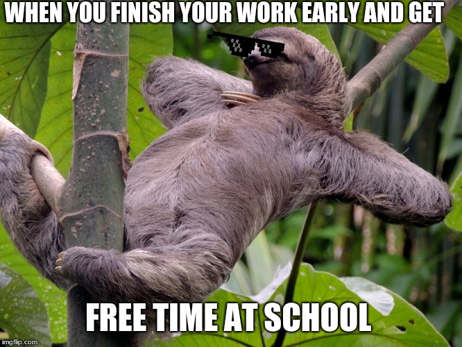 Lazy Sloth | WHEN YOU FINISH YOUR WORK EARLY AND GET; FREE TIME AT SCHOOL | image tagged in lazy sloth | made w/ Imgflip meme maker