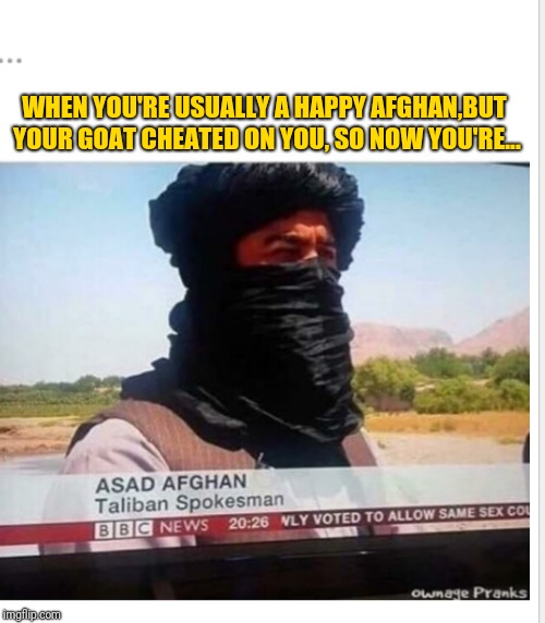  WHEN YOU'RE USUALLY A HAPPY AFGHAN,BUT YOUR GOAT CHEATED ON YOU, SO NOW YOU'RE... | image tagged in muslim | made w/ Imgflip meme maker