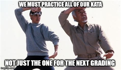 kata myagi | WE MUST PRACTICE ALL OF OUR KATA; NOT JUST THE ONE FOR THE NEXT GRADING | image tagged in karate kid | made w/ Imgflip meme maker