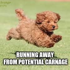 I'm coming | RUNNING AWAY FROM POTENTIAL CARNAGE | image tagged in i'm coming | made w/ Imgflip meme maker