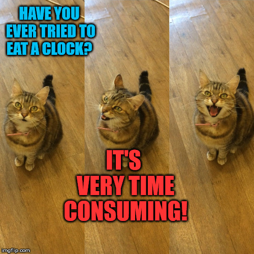 Cats can even tell bad puns... ;) |  HAVE YOU EVER TRIED TO EAT A CLOCK? IT'S VERY TIME CONSUMING! | image tagged in bad pun cat,funny cats,clocks,bad jokes,bad puns,puns | made w/ Imgflip meme maker