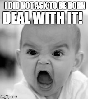 Angry Baby Meme | DEAL WITH IT! I DID NOT ASK TO BE BORN | image tagged in memes,angry baby | made w/ Imgflip meme maker