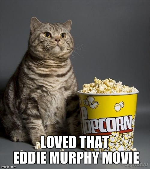 Cat eating popcorn | LOVED THAT EDDIE MURPHY MOVIE | image tagged in cat eating popcorn | made w/ Imgflip meme maker