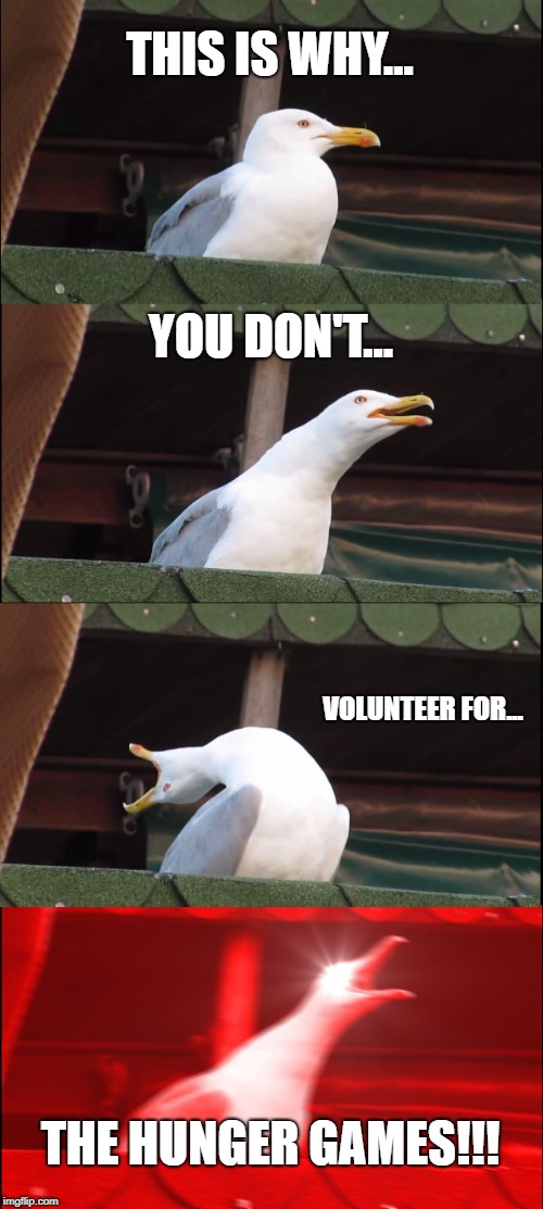 Inhaling Seagull | THIS IS WHY... YOU DON'T... VOLUNTEER FOR... THE HUNGER GAMES!!! | image tagged in memes,inhaling seagull | made w/ Imgflip meme maker