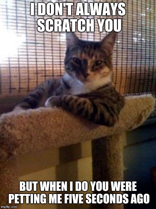 The Most Interesting Cat In The World | I DON'T ALWAYS SCRATCH YOU; BUT WHEN I DO YOU WERE PETTING ME FIVE SECONDS AGO | image tagged in memes,the most interesting cat in the world | made w/ Imgflip meme maker