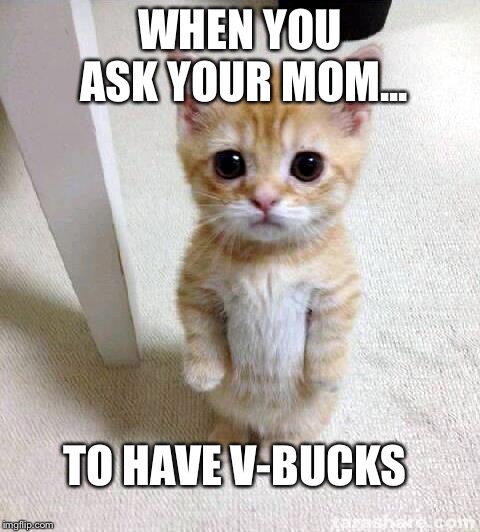 Cute Cat Meme | WHEN YOU ASK YOUR MOM... TO HAVE V-BUCKS | image tagged in memes,cute cat | made w/ Imgflip meme maker