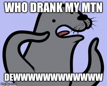Homophobic Seal Meme | WHO DRANK MY MTN; DEWWWWWWWWWWWW | image tagged in memes,homophobic seal | made w/ Imgflip meme maker