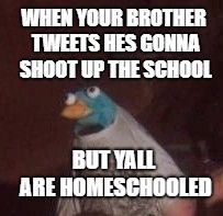 Everyday we stray further from God's light | WHEN YOUR BROTHER TWEETS HES GONNA SHOOT UP THE SCHOOL; BUT YALL ARE HOMESCHOOLED | image tagged in everyday we stray further from god's light | made w/ Imgflip meme maker