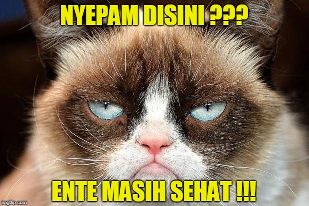 Grumpy Cat Not Amused Meme | NYEPAM DISINI ??? ENTE MASIH SEHAT !!! | image tagged in memes,grumpy cat not amused,grumpy cat | made w/ Imgflip meme maker