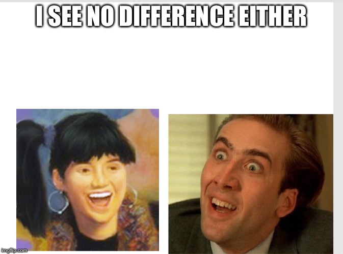 I SEE NO DIFFERENCE EITHER | made w/ Imgflip meme maker
