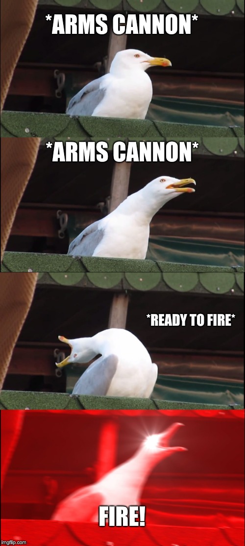 Inhaling Seagull Meme | *ARMS CANNON*; *ARMS CANNON*; *READY TO FIRE*; FIRE! | image tagged in memes,inhaling seagull | made w/ Imgflip meme maker