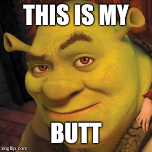 Shrek Sexy Face | THIS IS MY; BUTT | image tagged in shrek sexy face | made w/ Imgflip meme maker