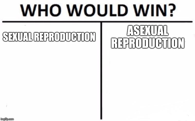 Who Would Win? Meme | SEXUAL REPRODUCTION; ASEXUAL REPRODUCTION | image tagged in memes,who would win | made w/ Imgflip meme maker