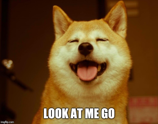 happy doge | LOOK AT ME GO | image tagged in happy doge | made w/ Imgflip meme maker