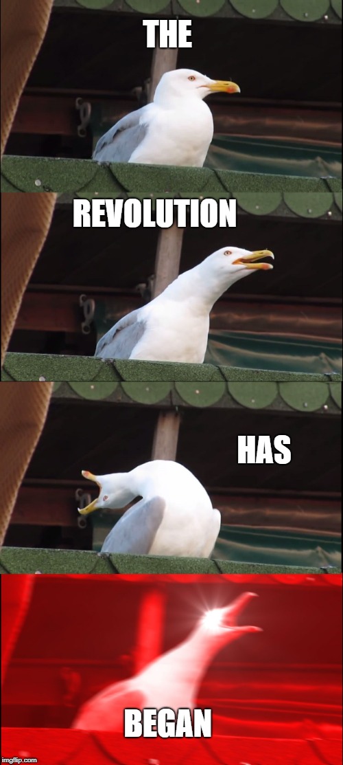 THE REVOLUTION HAS BEGAN | image tagged in memes,inhaling seagull | made w/ Imgflip meme maker