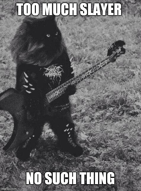 Black Metal Cat | TOO MUCH SLAYER NO SUCH THING | image tagged in black metal cat | made w/ Imgflip meme maker
