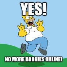 Hooray Homer | YES! NO MORE BRONIES ONLINE! | image tagged in hooray homer | made w/ Imgflip meme maker