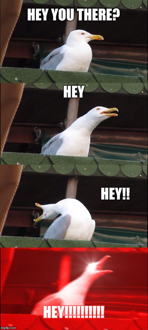 Inhaling Seagull Meme | HEY YOU THERE? HEY; HEY!! HEY!!!!!!!!!! | image tagged in memes,inhaling seagull | made w/ Imgflip meme maker