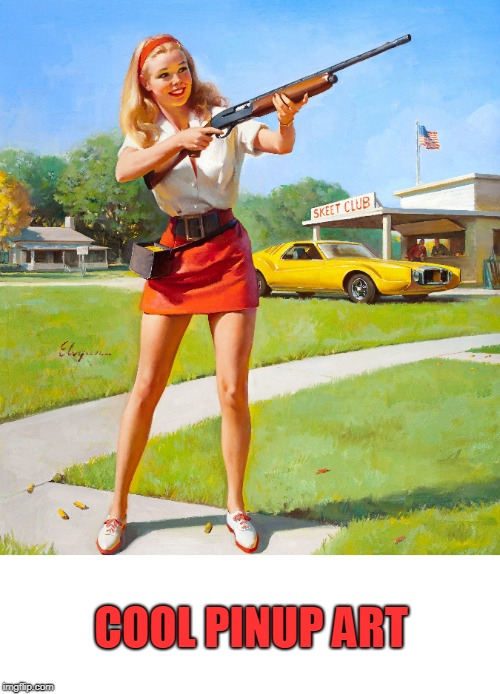 COOL PINUP ART | image tagged in notme | made w/ Imgflip meme maker