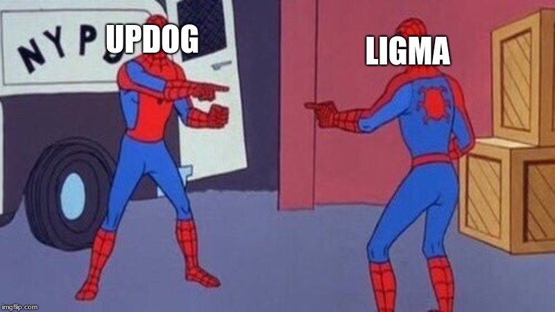 spiderman pointing at spiderman | UPDOG; LIGMA | image tagged in spiderman pointing at spiderman | made w/ Imgflip meme maker