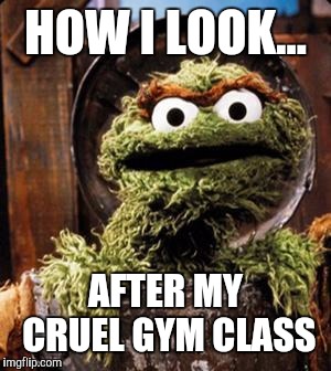 Oscar the Grouch | HOW I LOOK... AFTER MY CRUEL GYM CLASS | image tagged in oscar the grouch | made w/ Imgflip meme maker