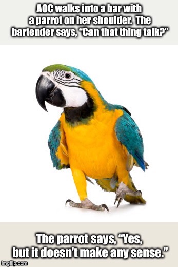 Birdbrain | image tagged in parrot | made w/ Imgflip meme maker