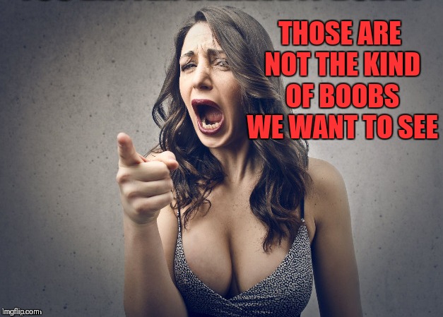 THOSE ARE NOT THE KIND OF BOOBS WE WANT TO SEE | made w/ Imgflip meme maker