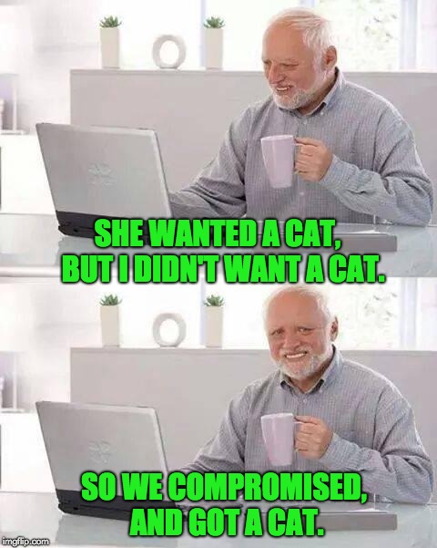 Hide the Pain Harold | SHE WANTED A CAT,  BUT I DIDN'T WANT A CAT. SO WE COMPROMISED, AND GOT A CAT. | image tagged in memes,hide the pain harold | made w/ Imgflip meme maker