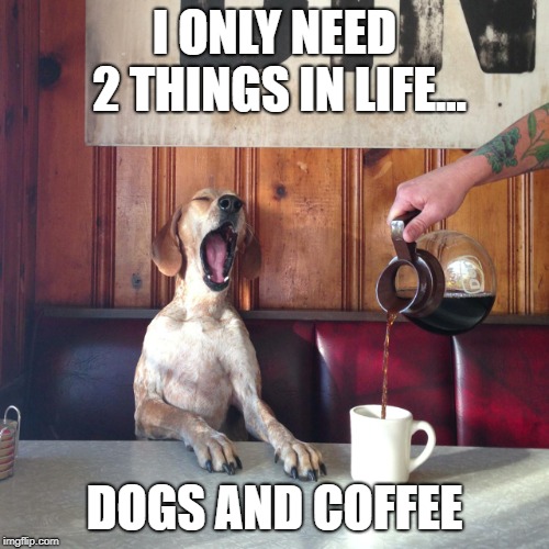 Coffee Dog Yawn Tired | I ONLY NEED 2 THINGS IN LIFE... DOGS AND COFFEE | image tagged in coffee dog yawn tired | made w/ Imgflip meme maker