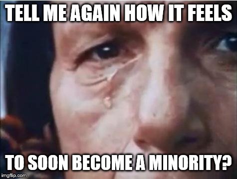 Crying indian | TELL ME AGAIN HOW IT FEELS TO SOON BECOME A MINORITY? | image tagged in crying indian | made w/ Imgflip meme maker