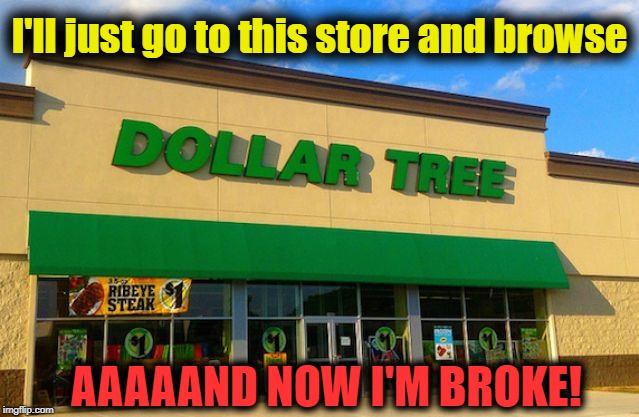 Dollar Tree | I'll just go to this store and browse AAAAAND NOW I'M BROKE! | image tagged in dollar tree | made w/ Imgflip meme maker