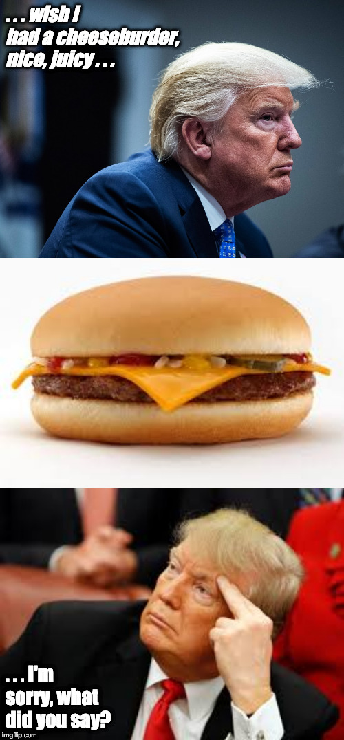 . . . wish I had a cheeseburder, nice, juicy . . . . . . I'm sorry, what did you say? | image tagged in trump looking grim,mcdonald's cheeseburger,trump distracted | made w/ Imgflip meme maker