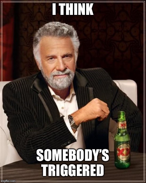 The Most Interesting Man In The World Meme | I THINK SOMEBODY’S TRIGGERED | image tagged in memes,the most interesting man in the world | made w/ Imgflip meme maker