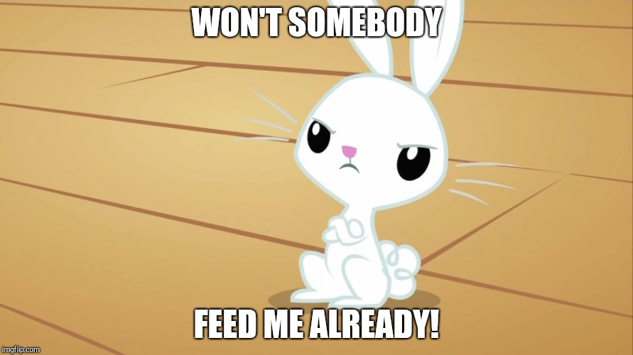 Angel Bunny is hungry! | WON'T SOMEBODY; FEED ME ALREADY! | image tagged in memes,my little pony,bunny,food | made w/ Imgflip meme maker