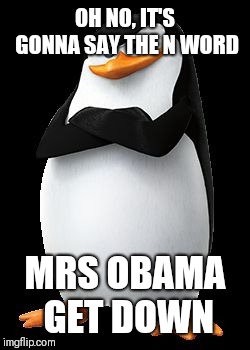 Skipper | OH NO, IT'S GONNA SAY THE N WORD MRS OBAMA GET DOWN | image tagged in skipper | made w/ Imgflip meme maker