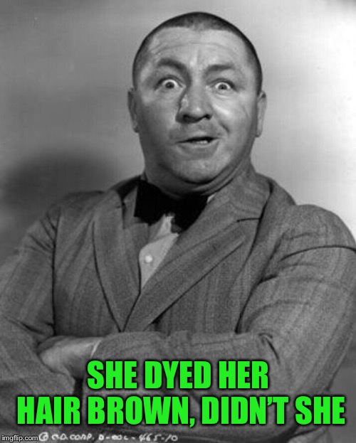 SHE DYED HER HAIR BROWN, DIDN’T SHE | made w/ Imgflip meme maker