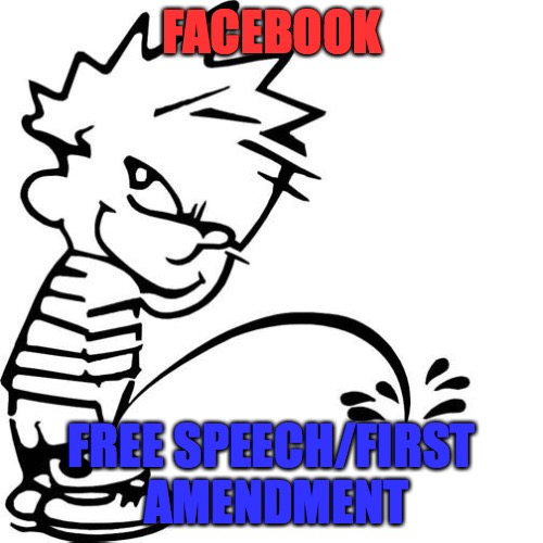 Calvin Peeing |  FACEBOOK; FREE SPEECH/FIRST AMENDMENT | image tagged in calvin peeing | made w/ Imgflip meme maker