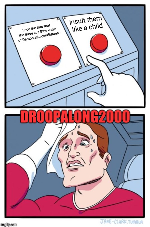 Two Buttons Meme | Face the fact that the there is a Blue wave of Democratic candidates Insult them like a child DROOPALONG2000 | image tagged in memes,two buttons | made w/ Imgflip meme maker