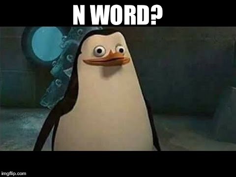 Confused penguin | N WORD? | image tagged in confused penguin | made w/ Imgflip meme maker