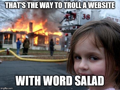 Disaster Girl Meme | THAT'S THE WAY TO TROLL A WEBSITE WITH WORD SALAD | image tagged in memes,disaster girl | made w/ Imgflip meme maker