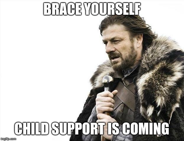 Brace Yourselves X is Coming | BRACE YOURSELF; CHILD SUPPORT IS COMING | image tagged in memes,brace yourselves x is coming | made w/ Imgflip meme maker