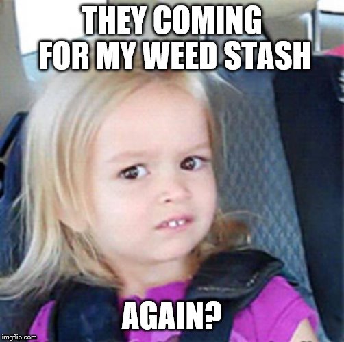 confused girl | THEY COMING FOR MY WEED STASH AGAIN? | image tagged in confused girl | made w/ Imgflip meme maker